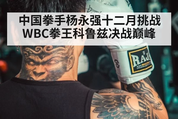 中国拳手杨永强十二月挑战WBC拳王科鲁兹决战巅峰