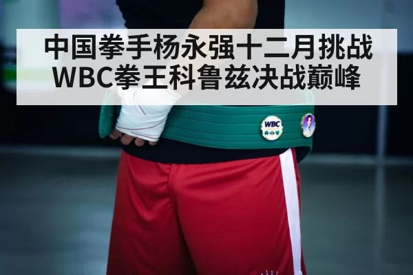 boxing champion belt