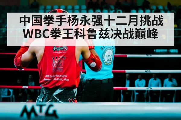 boxing ring fight