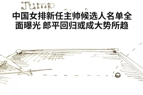 中国女排新任主帅候选人名单全面曝光 郎平回归或成大势所趋